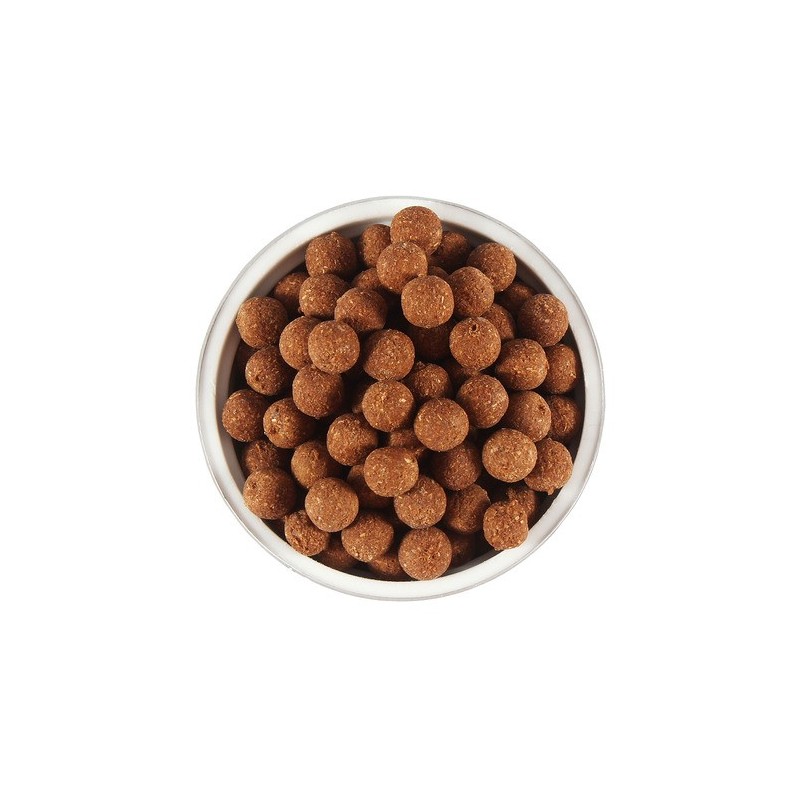 Phosphate bamboo salt Insan Bamboo Salt Field Garlic Pills 250g