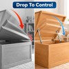 2Pcs Heavy Duty Gas Springs 10KG/100N – Soft Close Lid