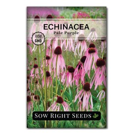 Sow Right Seeds - Pale Purple Coneflower Seeds for Planting - Non-GMO Heirloom Packet with Instructions to Grow an Outdoor Flower Garden - Perennial & Medicinal Echinacea pallida - Pink Native (1)