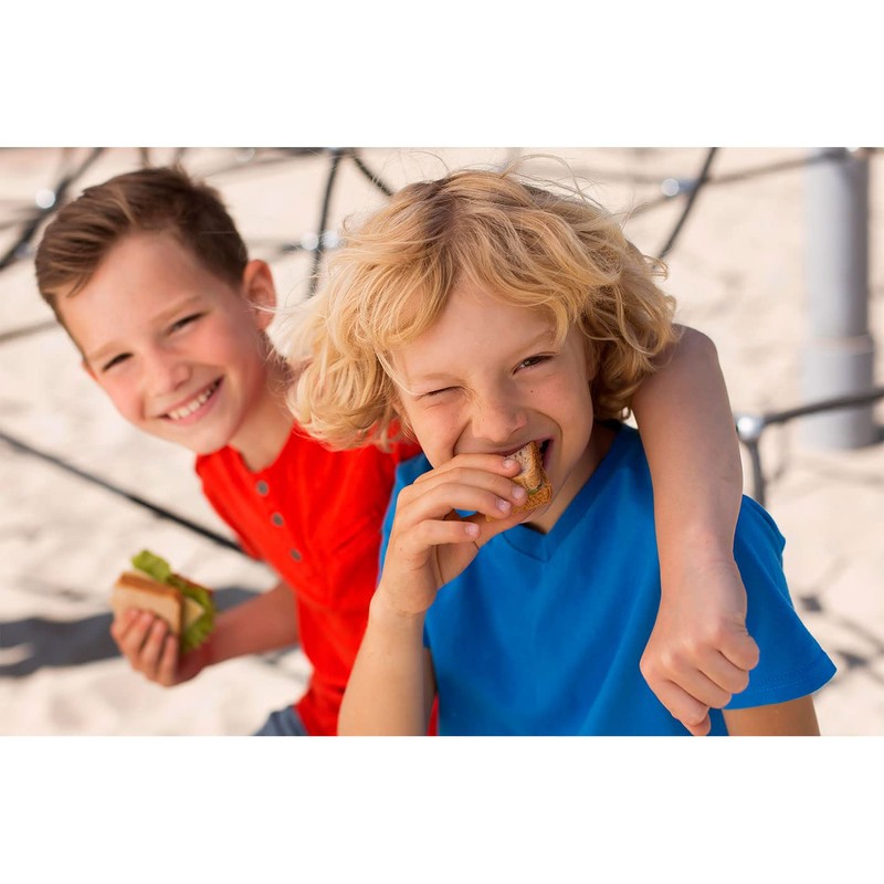 QILZO® Sandwich Holder, Lunch Holder, Snack Box, Reusable Food Storage,