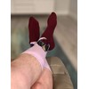 Balanced Co. Kevin's Famous Chili Dress Socks Kevin Malone Socks