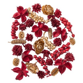 Daichi Farm DO024890-340 Dried Flowers, Red/Gold, Approx. 40-50 Pieces, Mixed Cones, 1.8 oz (50 g)
