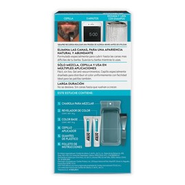 Just For Men Tinte Colorante en Gel para Barba y Bigote, Color Negro B55, Sin Amoníaco, Con Cepillo De Fácil Aplicación, 66ml