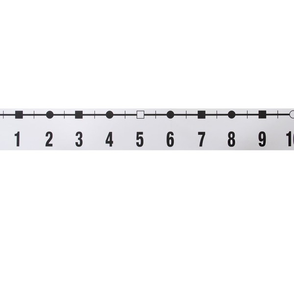 hand2mind -39 to 185 Integer Number Line for Classroom Wall,