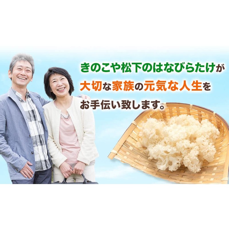 Hanabiratake, 2.8 oz (80 g), 10 Bags, km04, Made in