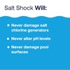 HTH 52047 Swimming Pool Care Salt Shock, Stabilized Chlorinator, 1