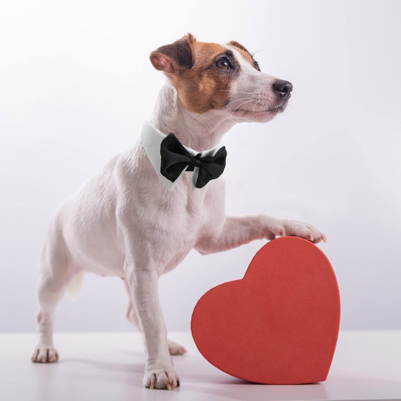 HACRAHO Formal Bow Tie for Dogs Adjustable Formal Pet Costume