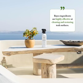 Bayes High Performance Teak Cleaner & Restorer - Cleans, Shines, and Protects - Maintains Fine Teak and Restores Neglected Teak - 16 oz