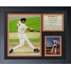 Legends Never Die "Cal Ripken Batting Framed Photo Collage, 11