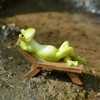 Gemmia Miniature Fairy Garden Frog Figurine- Studying Frog W/mushroom