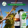 Soria Natural Extrait Fluide Glycerine Hamamelis XXI 50ml