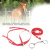 PVC Adjustable Horse Bridle Rein Harness Headstalls Removable Stainless Steel