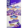 Blue Diamond Blueberry Flavored Almonds, 1.5 Ounce (Pack of 12)