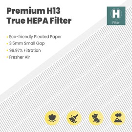 116130 Replacement Filter H for Winix 5500-2 AM80 Plasmawave Air Purifier, Includes 2 Pack True HEPA Filter