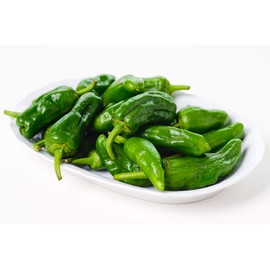 Pimentos De Padron Hot Pepper 25+ Seeds