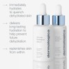 Dermalogica Circular Hydration Serum, Hyaluronic Acid Serum for Face, Deep