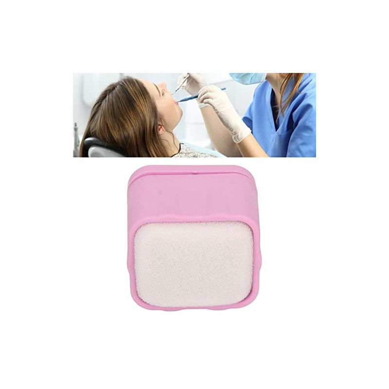 Soporte de Esponja Endo, Archivador de Endodoncia Dental Resistente Al