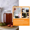 Twin Bubble Airlock and Carboy Bung (Pack of 2)