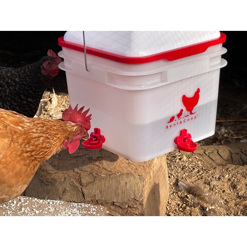 RentACoop 2 Gallon Chicken BPA-Free Plastic Bucket Waterer Set with