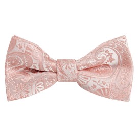 Alizeal Boys Classic Paisley Adjustable Pre-tied Bow Tie, Blush Pink