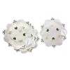 Embroidered Shamrock Doilies Pack of 4 Scallop Edge Leaf Design