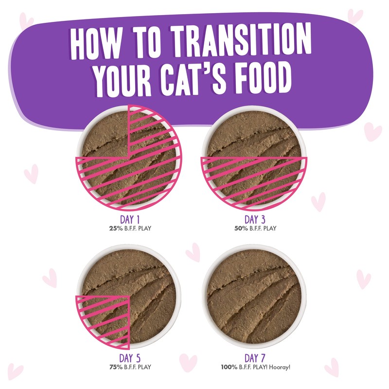 Weruva B.F.F. PLAY - Best Feline Friend Paté Lovers, Aw