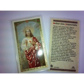 HOLY PRAYER CARDS FOR THE SACRED HEART OF JESUS SET OF 2 IN SPANISH FREE SHIP!