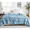 MEJU MEJU Fish Blue Modern Muslin Lightweight Summer Blanket for