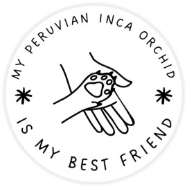 Kiwi Gifts My Peruvian Inca Orchid is My Best Friend - Circle Sticker Decal 3 Inch - Dog