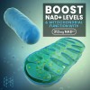 NAD Nicotinamida Adenina Dinucleótido High Performance Nutrition 100ml