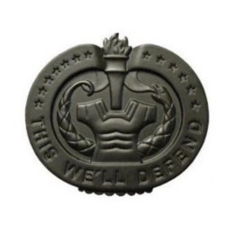 US Army Drill Sergeant Black Metal