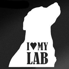 I Love My Lab Decal Dog Lover Heart Labrador Retriever | White | Made in USA by Stick This! | Sticker for Car or Truck Windows, Laptop, Water Bottle, Tablets etc. | 4" x 5.25" |