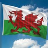 Welsh Flag Dragon Tartan - Wales Flag - Wales Dragon