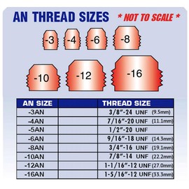 Autobahn88 Aluminum Anodized Swivel Hose End Fitting - Reusable, Forged Elbow, 90-Degree, AN12 (Blue/Red)