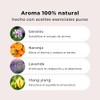 PRAHYAM Aceites Esenciales de Aromaterapia Roll On 10 ml, Dulces