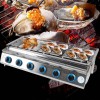 OCASAMI 6-Burner Stainless Steel Gas Grill with Electronic Ignition &