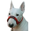 Dog Head Collar Halter Red 6 Sizes (L: 10.25"-12.25" Snout)
