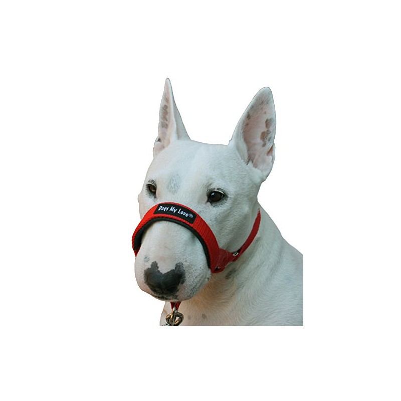Dog Head Collar Halter Red 6 Sizes (L: 10.25"-12.25" Snout)