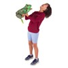 Folkmanis Frog Life Cycle Hand Puppet, Green, 8"