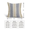 Aytipun Blue Yellow Pillow Covers 20x20 Set of 2 Gray