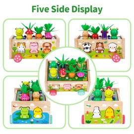 Montessori Spielzeug ab 1 2 3 Jahr | Karotten Steckspiel Holz | Montessori Geschenk Mädchen Jungen | Kinder Holzspielzeug Motorikspielzeug ab 1 Jahr