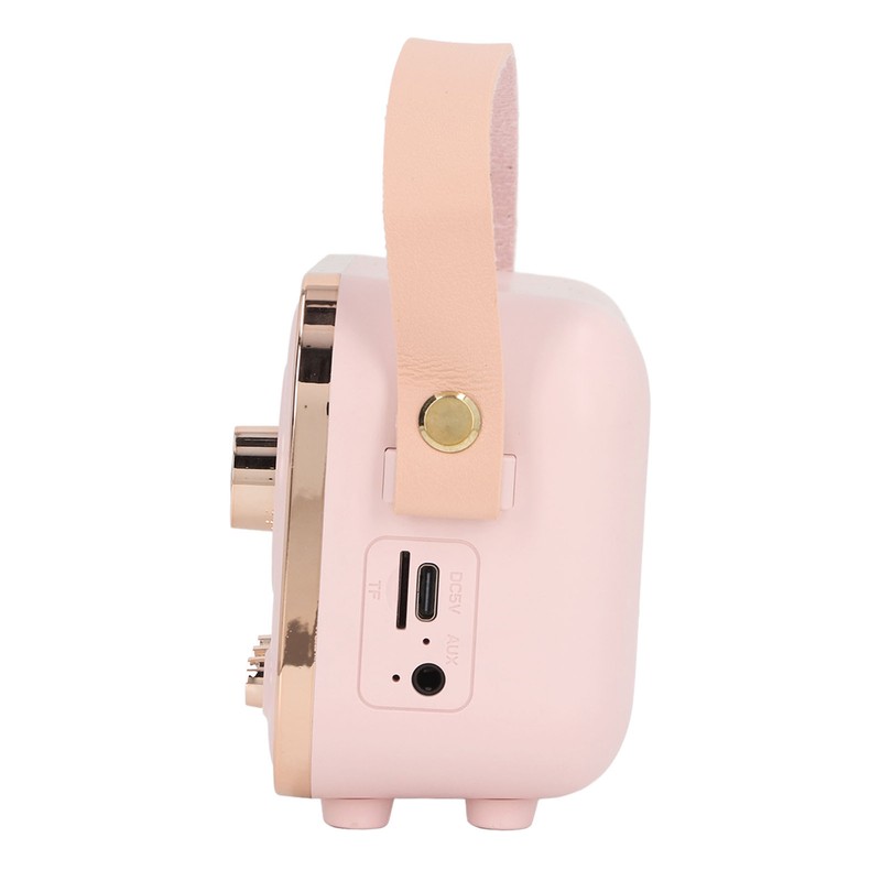 Speaker Karaoke Set Portable Multifunctional High Capacity Battery Small Wireless