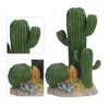 Simulation Resin Cactus Ornament Stable Aquarium Cactus Decoration with Succulents