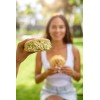 White P.A.N. White Corn Meal – Pre-cooked Gluten Free and