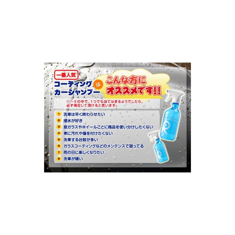 Ripica A002 Coated Car Shampoo, 16.9 fl oz (500 ml)