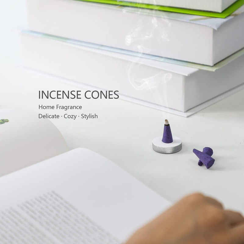 SCENTORINI Incense Cones, Assorted Scented Incense Cones with Holder, Incense
