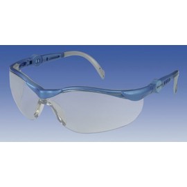Georg Schmerler Model 620 Colourless Safety Glasses