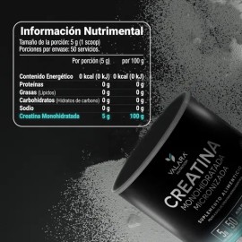 Creatina Monohidratada Micronizada en Polvo  Alta Pureza Certificada  Con Scoop Dosificador - Creatine Monohydrate Pre Entreno - Platinum - Creatina  