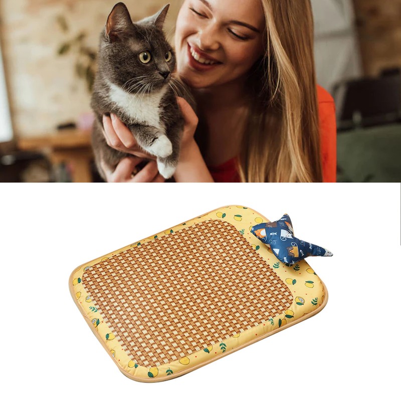 Dog Rattan Cooling Mat Bite Resistant Comfortable Breathable Cat Cooling