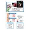 DOLDORI Elecderma Face Mask x 1